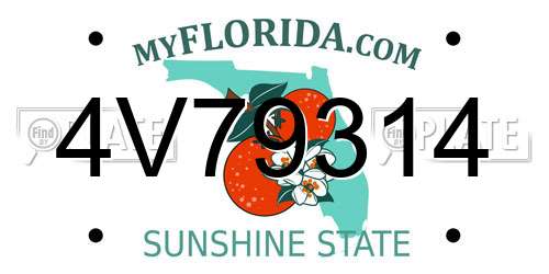 4V79314 Florida License Plate