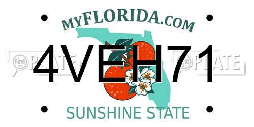 4VEH71 Florida License Plate
