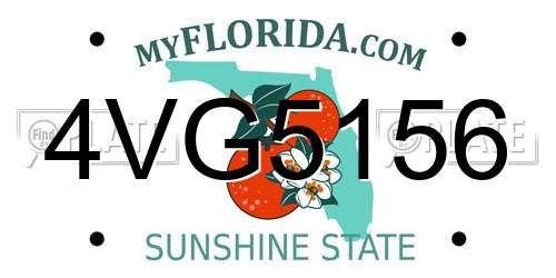 4VG5156 Florida License Plate