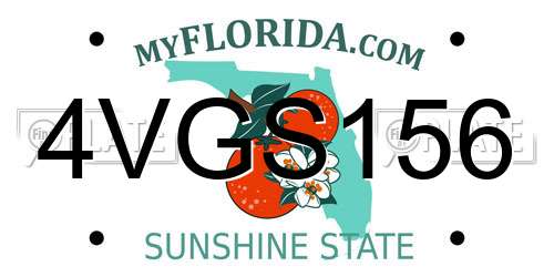 4VGS156 Florida License Plate