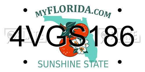 4VGS186 Florida License Plate