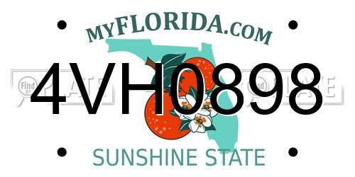 4VH0898 Florida License Plate