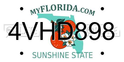 4VHD898 Florida License Plate
