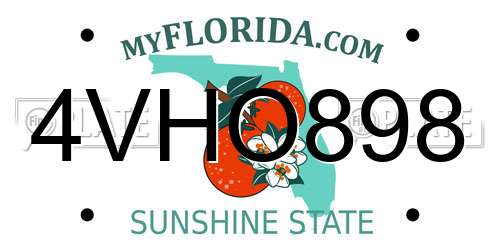 4VHO898 Florida License Plate