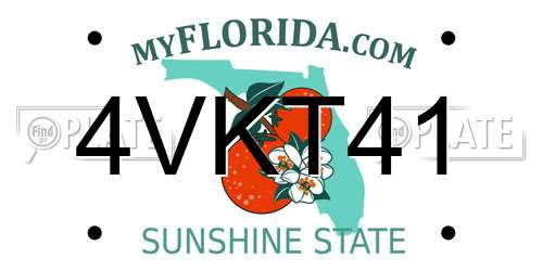 4VKT41 Florida License Plate