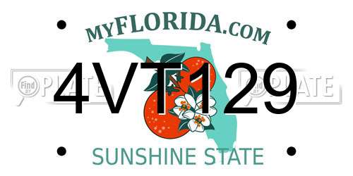 4VT129 Florida License Plate