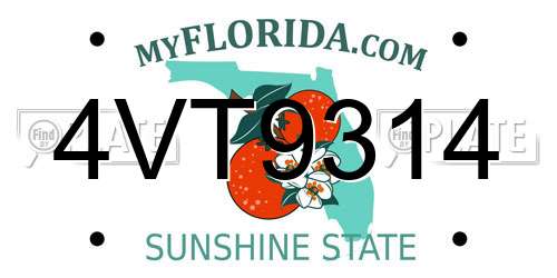 4VT9314 Florida License Plate