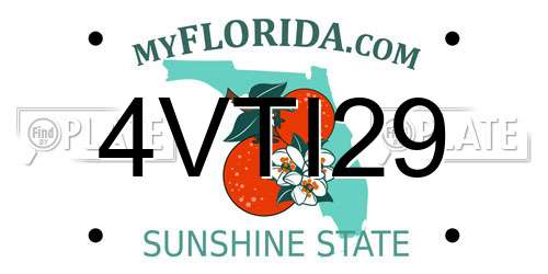 4VTI29 Florida License Plate