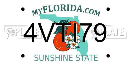 4VTI79 Florida License Plate