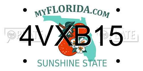 4VXB15 Florida License Plate
