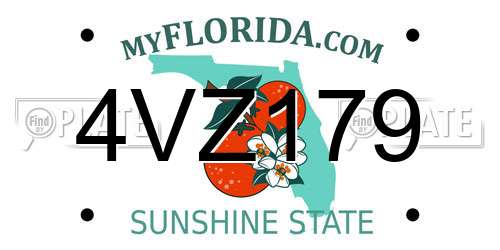 4VZ179 Florida License Plate
