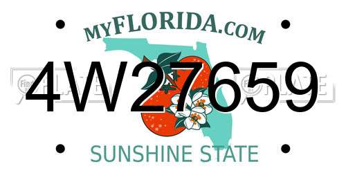 4W27659 Florida License Plate