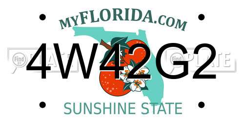4W42G2 Florida License Plate