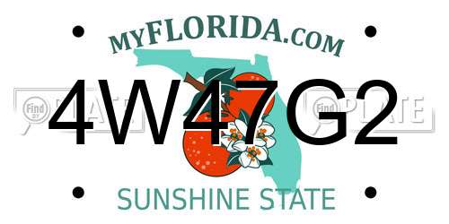 4W47G2 Florida License Plate