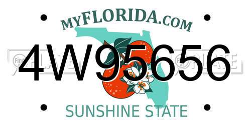 4W95656 Florida License Plate