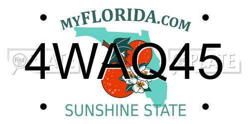 4WAQ45 Florida License Plate