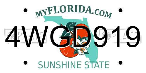 4WGD919 Florida License Plate
