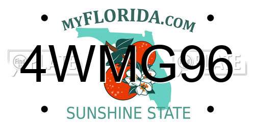 4WMG96 Florida License Plate