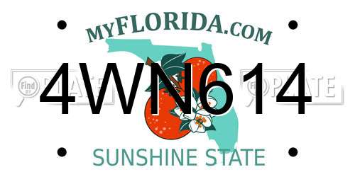 4WN614 Florida License Plate