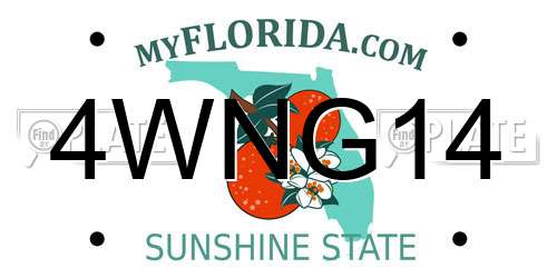 4WNG14 Florida License Plate