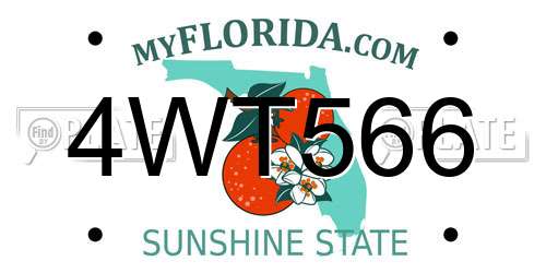 4WT566 Florida License Plate