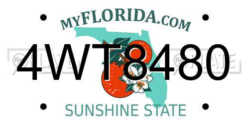 4WT8480 Florida License Plate