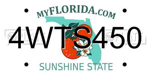 4WTS450 Florida License Plate