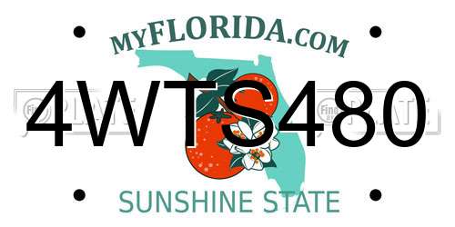 4WTS480 Florida License Plate