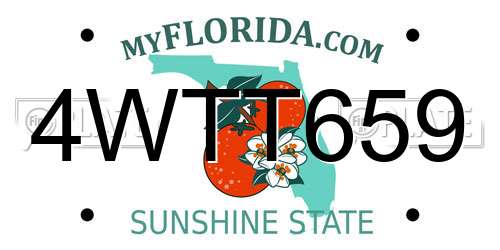 4WTT659 Florida License Plate