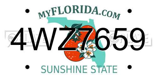 4WZ7659 Florida License Plate