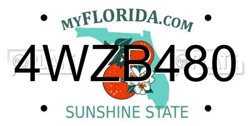 4WZB480 Florida License Plate