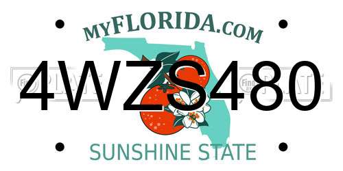 4WZS480 Florida License Plate