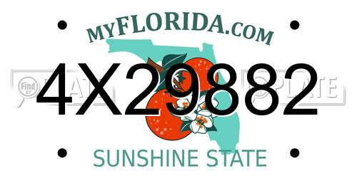 4X29882 Florida License Plate