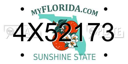 4X52173 Florida License Plate