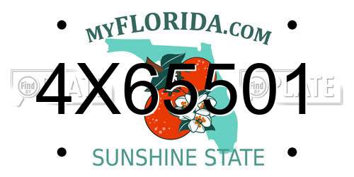 4X65501 Florida License Plate