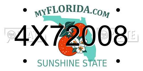 4X72008 Florida License Plate
