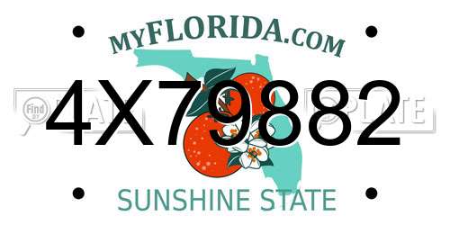 4X79882 Florida License Plate