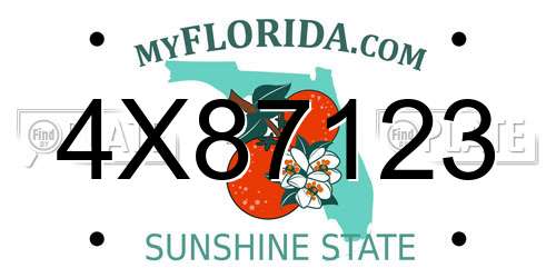4X87123 Florida License Plate
