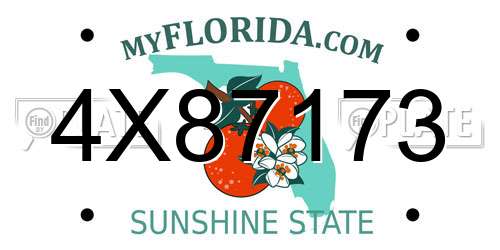 4X87173 Florida License Plate