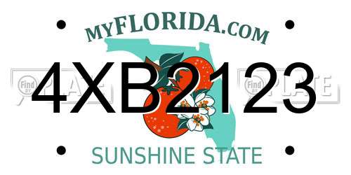 4XB2123 Florida License Plate
