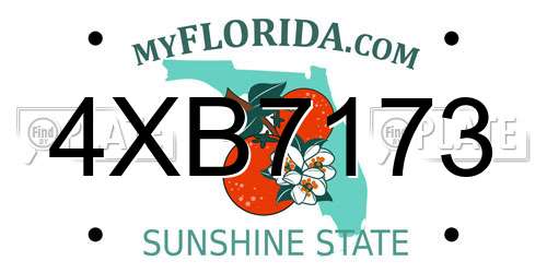 4XB7173 Florida License Plate