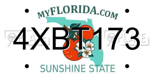 4XBT173 Florida License Plate