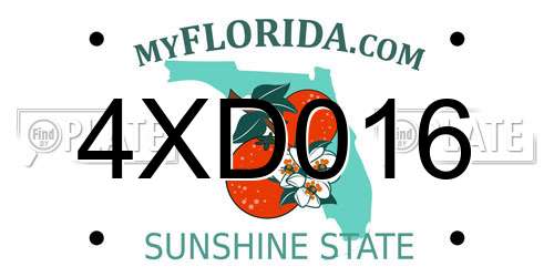 4XD016 Florida License Plate