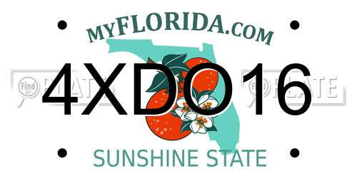 4XDO16 Florida License Plate