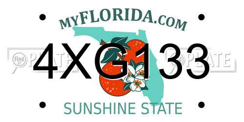 4XG133 Florida License Plate