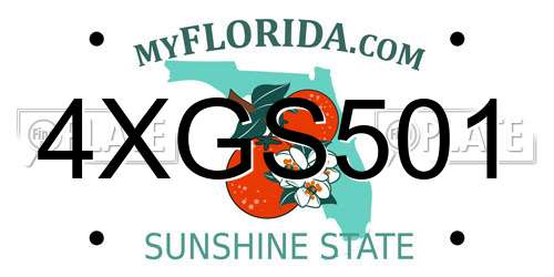 4XGS501 Florida License Plate