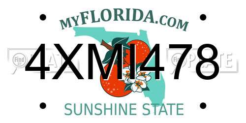 4XMI478 Florida License Plate