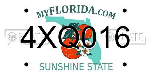 4XQ016 Florida License Plate