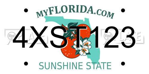 4XST123 Florida License Plate