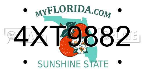 4XT9882 Florida License Plate